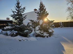 Дом, Непряхино, Чебаркульский район