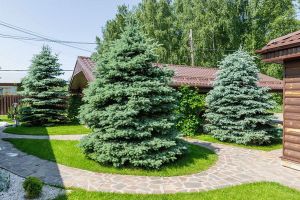 Дом, п.Кременкуль, Сосновский район