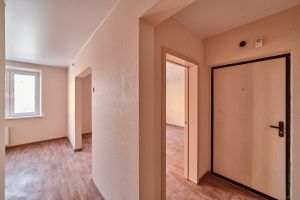 Новая однокомнатная квартира, Вишнёвая Горка, Сосновский район, Вишневая Аллея, д. 47