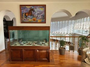 7-комнатная квартира, Челябинск, Центральный район, Витебская ул., д. 2-Б