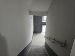 Однокомнатная квартира, Вишнёвая Горка, Сосновский район, Генерала Костицына, д. 15