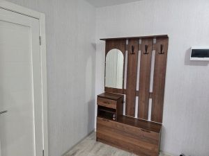 Однокомнатная квартира, Вишнёвая Горка, Сосновский район, Генерала Костицына, д. 15