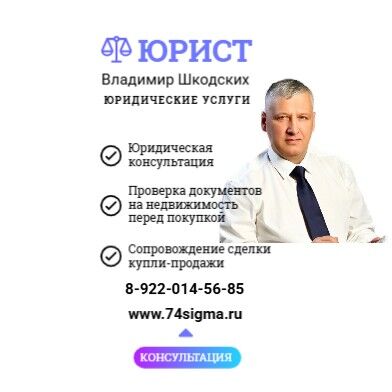 Владимир Шкодских